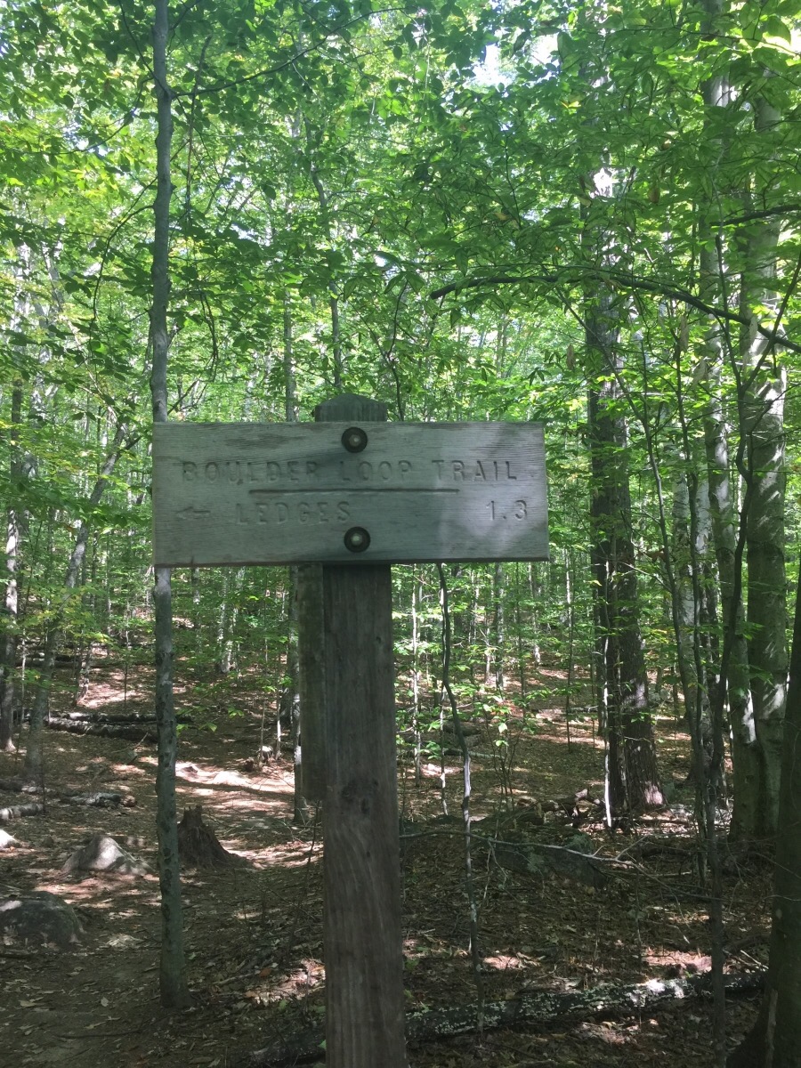 Half day hikes in the White Mountains of New Hampshire Boulder Loop Trail